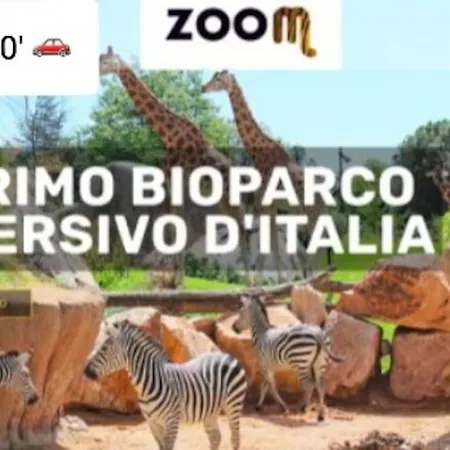 Ludovica's Dream *